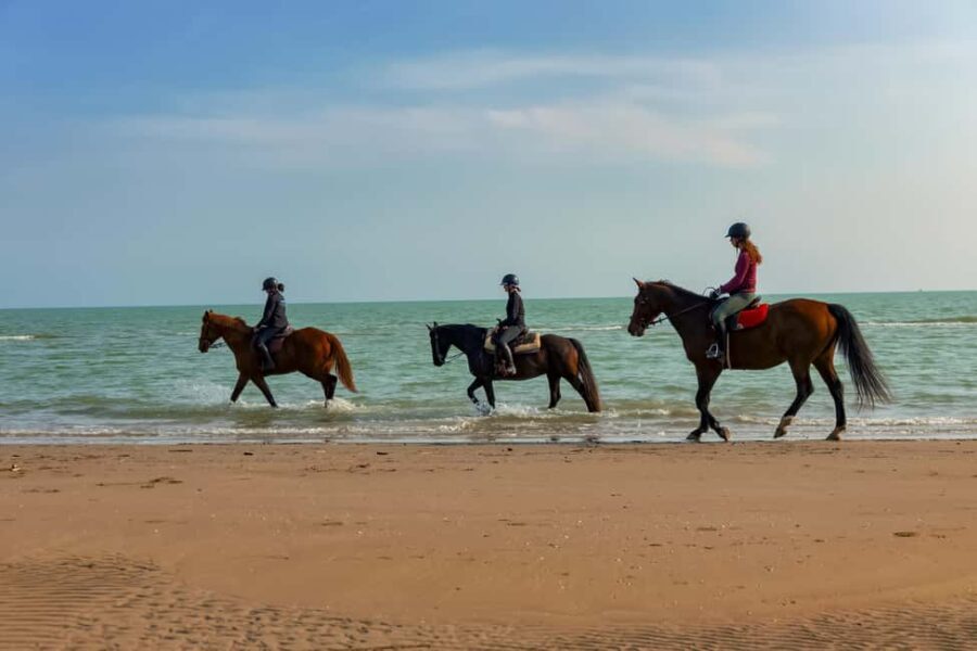 Caorle: Brewery Guided Tour&Tasting in Brussa Natural Oasis - FAQ