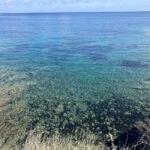 Cap dAil to Monaco: French Riviera Photo Walk - A Closer Look at the Experience