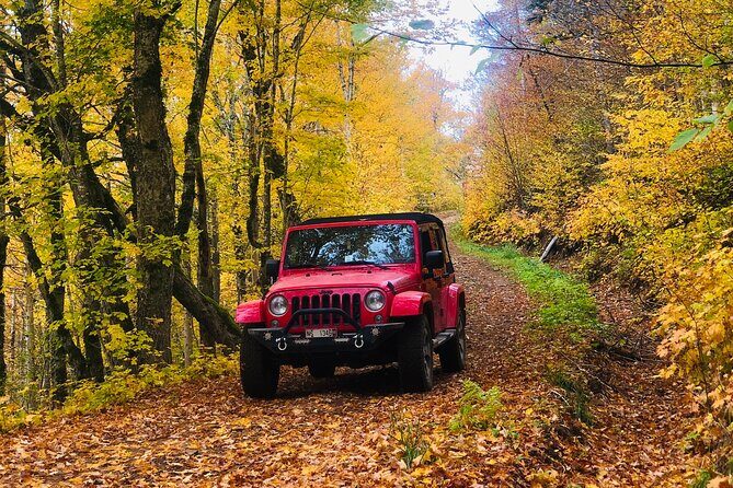 Cape Breton Scenic Jeep Adventure - What We Think the Tour Excels At