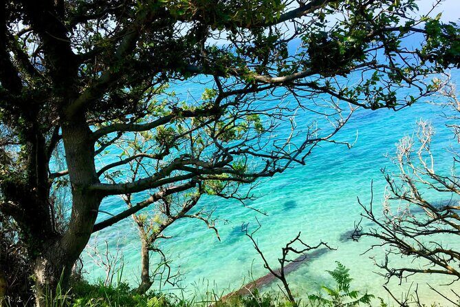 Cape of Rodon & Bunkers Day Tour Adventure from Durres - Who Will Love This Tour?