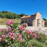 Cape of Rodon, Hiking to Castle, Beach, Wine testing tour! - The Practical Details: What’s Included and What’s Not