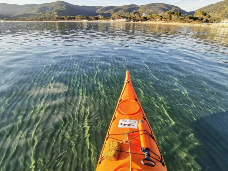 Capoliveri: Golfo Stella Kayak Tour with Optional Snorkeling - Who Would Enjoy This Tour?