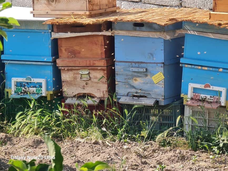 Cappadocia: Beekeeping Experience with Honey Tasting - What to Expect