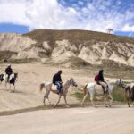 Cappadocia: Göreme Horse Riding, Fairy Chimneys w/Transfer - What to Expect from the Tour