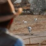 Cappadocia :Horseback Riding Tour Rose-Red Valley/LoveValley - The Itinerary in Detail