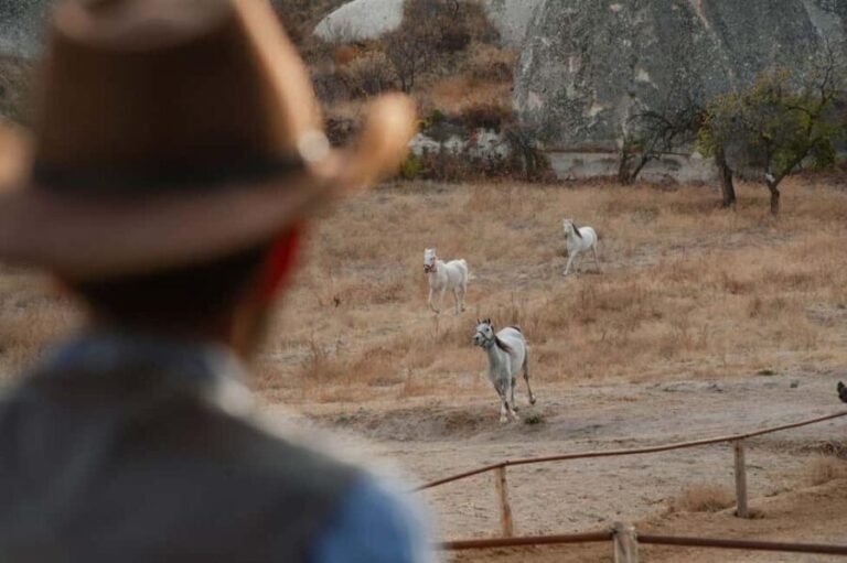 Cappadocia :Horseback Riding Tour Rose-Red Valley/LoveValley - The Itinerary in Detail