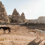 Cappadocia Horseback Riding : Unique Exploration Horse Tour - The Experience by Time of Day