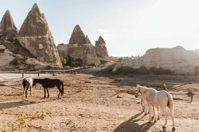 Cappadocia Horseback Riding : Unique Exploration Horse Tour - The Experience by Time of Day