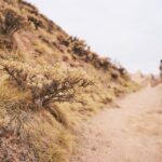 Cappadocia: Sunrise and Sunset Jeep Safari - Real Traveler Insights