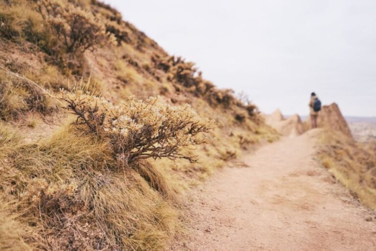 Cappadocia: Sunrise and Sunset Jeep Safari - Real Traveler Insights