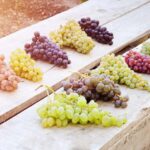 Cappadocia Wine Tasting Experience - The Experience Environment