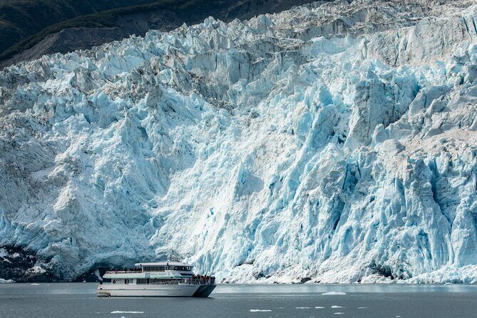 Captain's Choice Kenai Fjords National Park Tour from Seward - The Benefits of This Tour