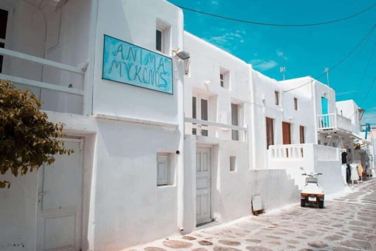 Captivating Love Tour Around Mykonos - What to Expect from the Tour