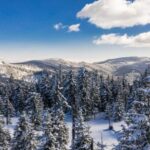 Carriage or Sleigh Ride with Picnic Basket in Covasna County - The Landscape and Atmosphere