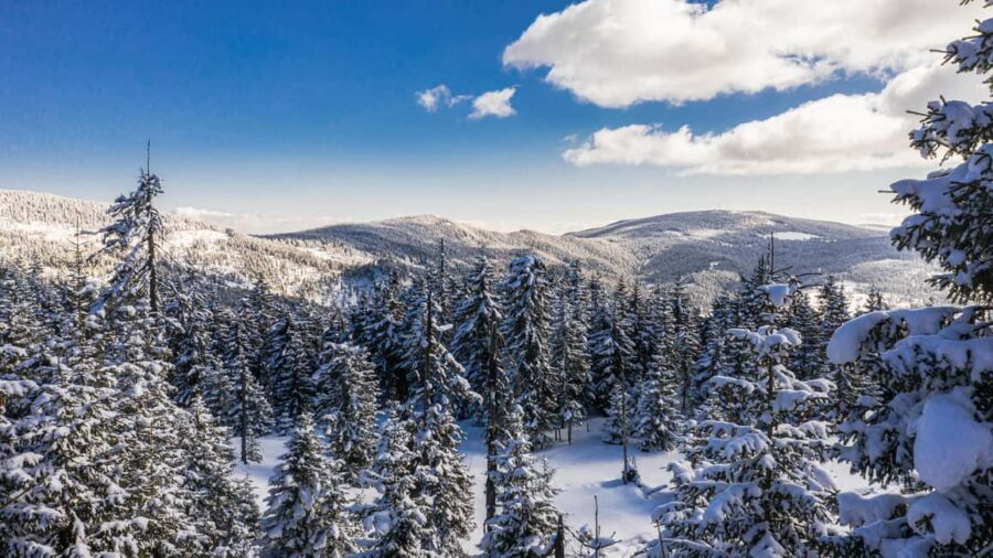 Carriage or Sleigh Ride with Picnic Basket in Covasna County - The Landscape and Atmosphere