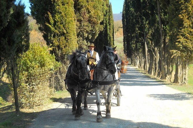 Carriage ride and Lunch in a typical restaurant in the heart of Chianti - The Experience in Detail