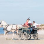 CARRIAGE Ride On The Beach (Rosário Beach) - What You Can Expect from the Tour