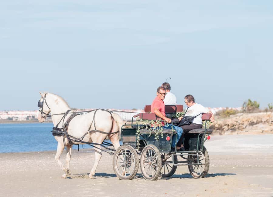 CARRIAGE Ride On The Beach (Rosário Beach) - What You Can Expect from the Tour