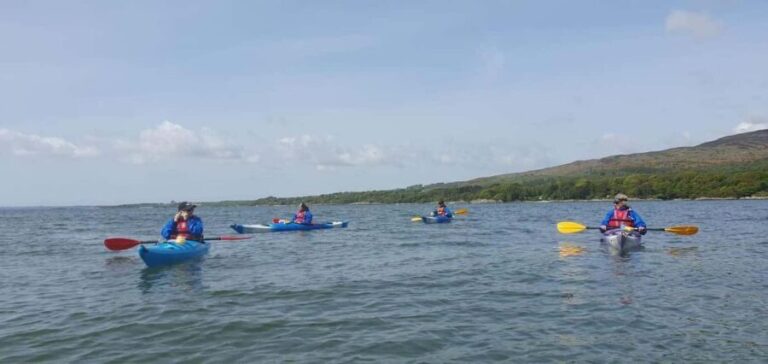 Carrick: Kayak Experience on the River Girvan - The Experience Itinerary