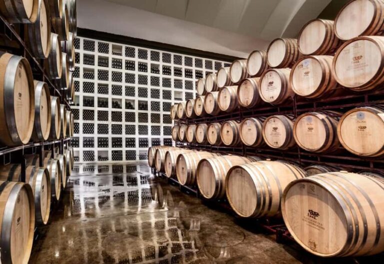 Casa Relvas, Évora - Visit to the Winery with Tasting of Portuguese Grape Varieties and Tapas - Practical Details and How It Fits Into Your Trip