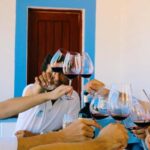 Casa Relvas, Vidigueira: Visit the Olive Press, Technical Tasting of Olive Oils and Wines - Final Thoughts