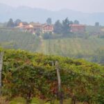 Casalnoceto: Winery Tour with Wine Tasting & Local Food - The Itinerary: What You Can Expect