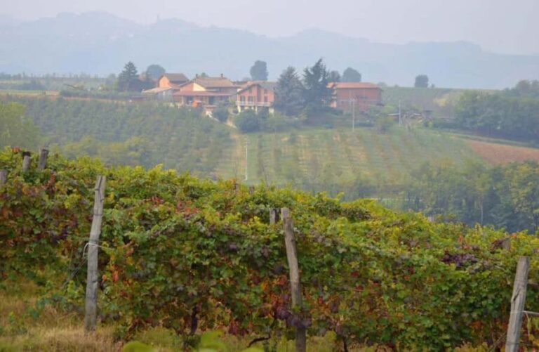 Casalnoceto: Winery Tour with Wine Tasting & Local Food - The Itinerary: What You Can Expect