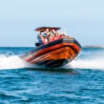 Cascais: Dolphin Watching Tour - What to Expect on the Dolphin Watching Tour