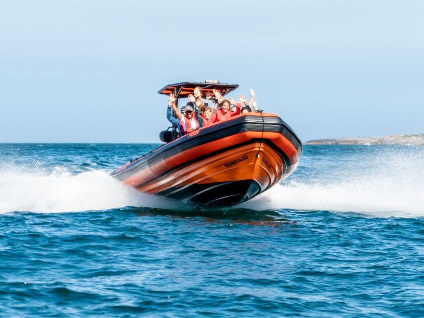 Cascais: Dolphin Watching Tour - What to Expect on the Dolphin Watching Tour