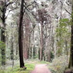 Cascais: Open Water Swimming and Hiking Experience - The Value of This Tour