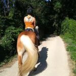 Casentino: Horseback Riding Tour with Verna Sanctuary View - Experience Breakdown and Itinerary