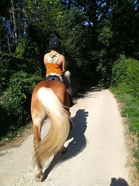 Casentino: Horseback Riding Tour with Verna Sanctuary View - Experience Breakdown and Itinerary