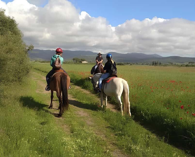 Castagneto Carducci: Horseback Riding Experience in Tuscany - Is It Good Value?