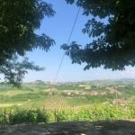 Castagnole delle Lanze: Saffron Walking Tour w/ Wine & Food - Final Thoughts