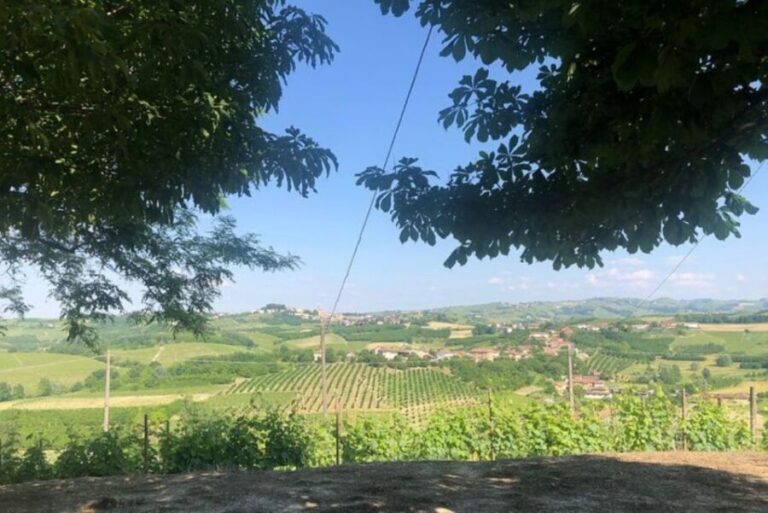 Castagnole delle Lanze: Saffron Walking Tour w/ Wine & Food - Final Thoughts