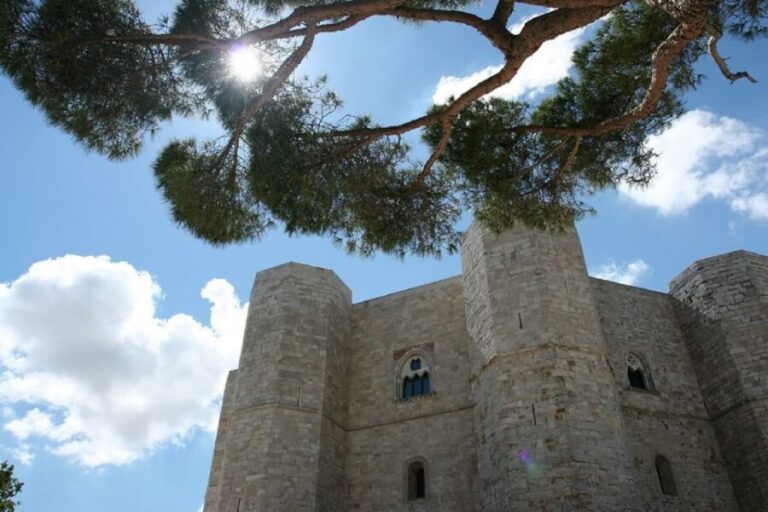 Castel del Monte Tour with transfer from Trani - The Journey from Trani to Castel del Monte