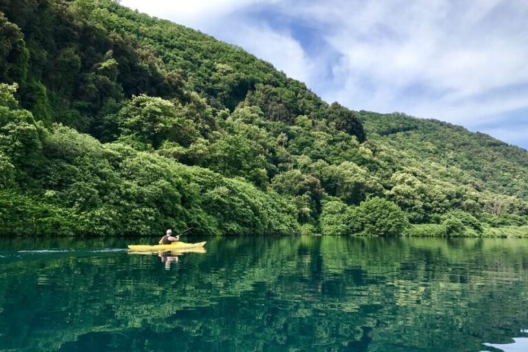 Castel Gandolfo: Kayak Food and Wine Tour - The Experience in Detail