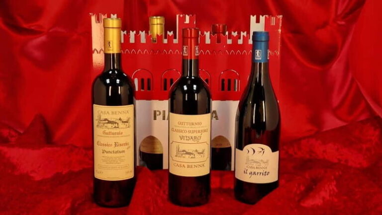 Castell'Arquato: Winery tour and tasting Colli Piacentini wines - Final Thoughts