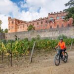 Castellina in Chianti: E-Bike Rental in the Tuscan Hills - The Experience: What to Expect from Your Day on E-Bikes in Chianti