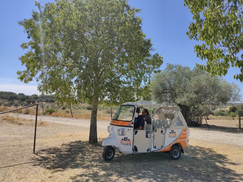 Castelo Branco City Tour - Why This Tour Might Be Perfect for You