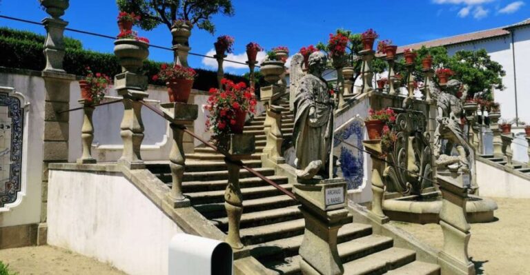 Castelo Branco: Culture and History Guided Tour with Museums - A Deep Dive into What This Tour Offers