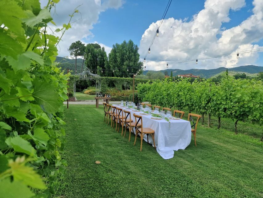 Castiglion Fiorentino: Buccelletti Wine Flight - Who should consider this experience?