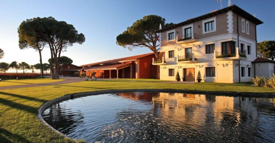 Castille and León: Vineyard Tour with Wine Tasting - A Closer Look at the Vineyard Tour Experience