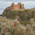 Castle and Coastline Electric Bike Tour North Berwick - The Sum Up