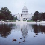 Castle to Capitol: Museums of the National Mall Architecture Tour - What to Expect from the Tour