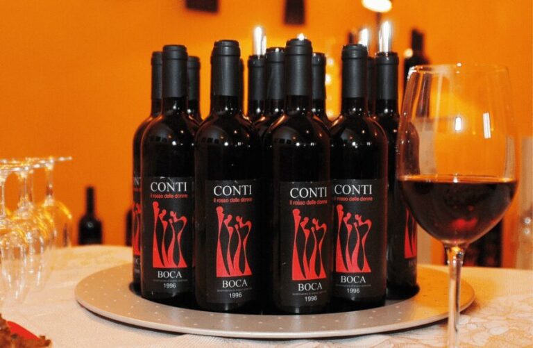 Castle Winery Tour & Tasting near Lake Maggiore - Is This Tour Right for You?