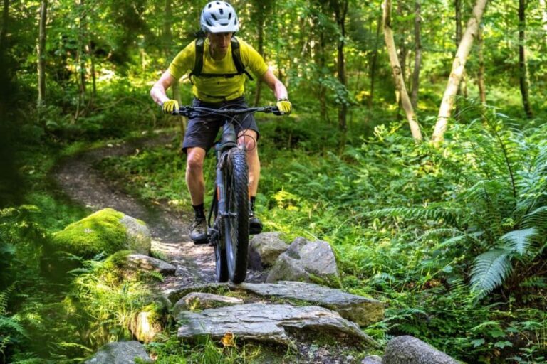 Castlewellan:Electric Mountain Biking Experience - Why This Tour Stands Out