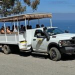 Catalina Island City and Scenic Mt Ada Tour - The Realities and Caveats