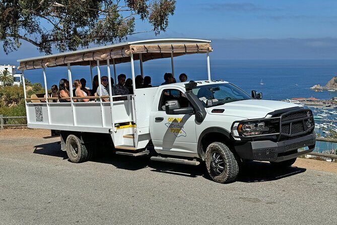Catalina Island City and Scenic Mt Ada Tour - The Realities and Caveats