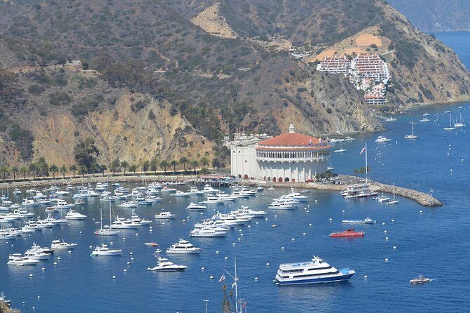 Catalina Island Day Trip from Anaheim Hotels with Discover Avalon Tour - What to Expect from the Itinerary